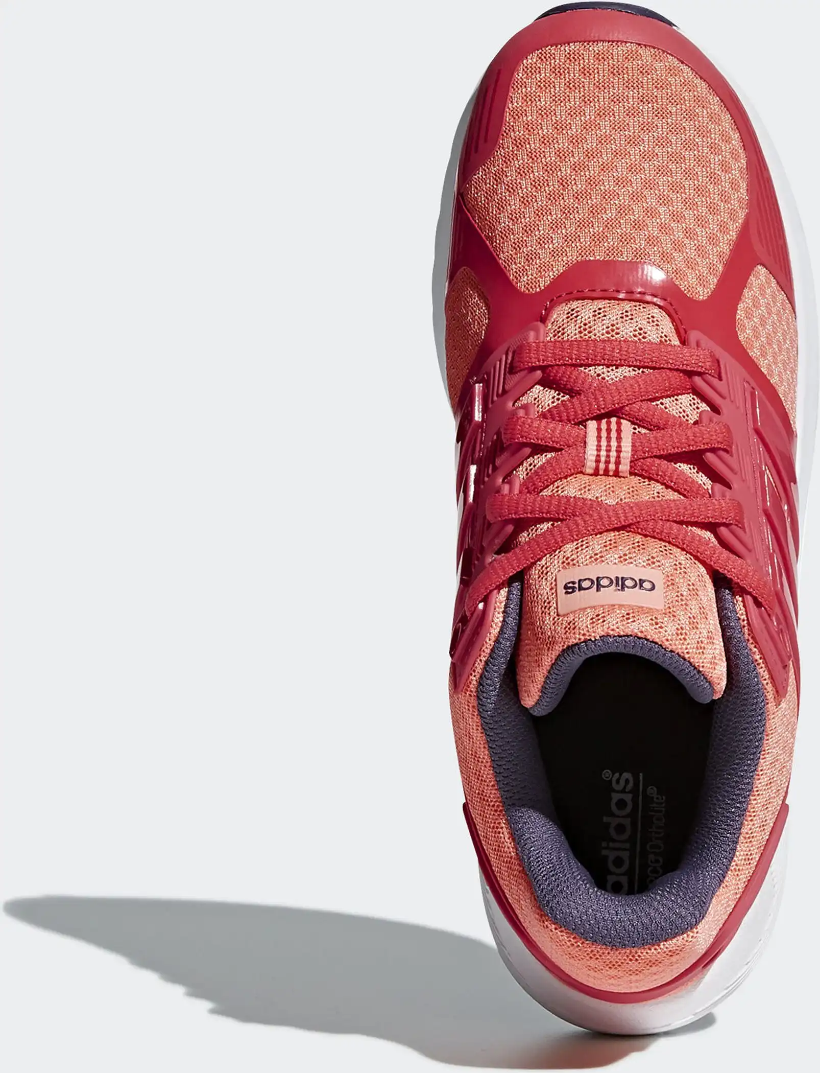 duramo 8 k CHACOR/TRAORA/TRAPUR – Bild 4