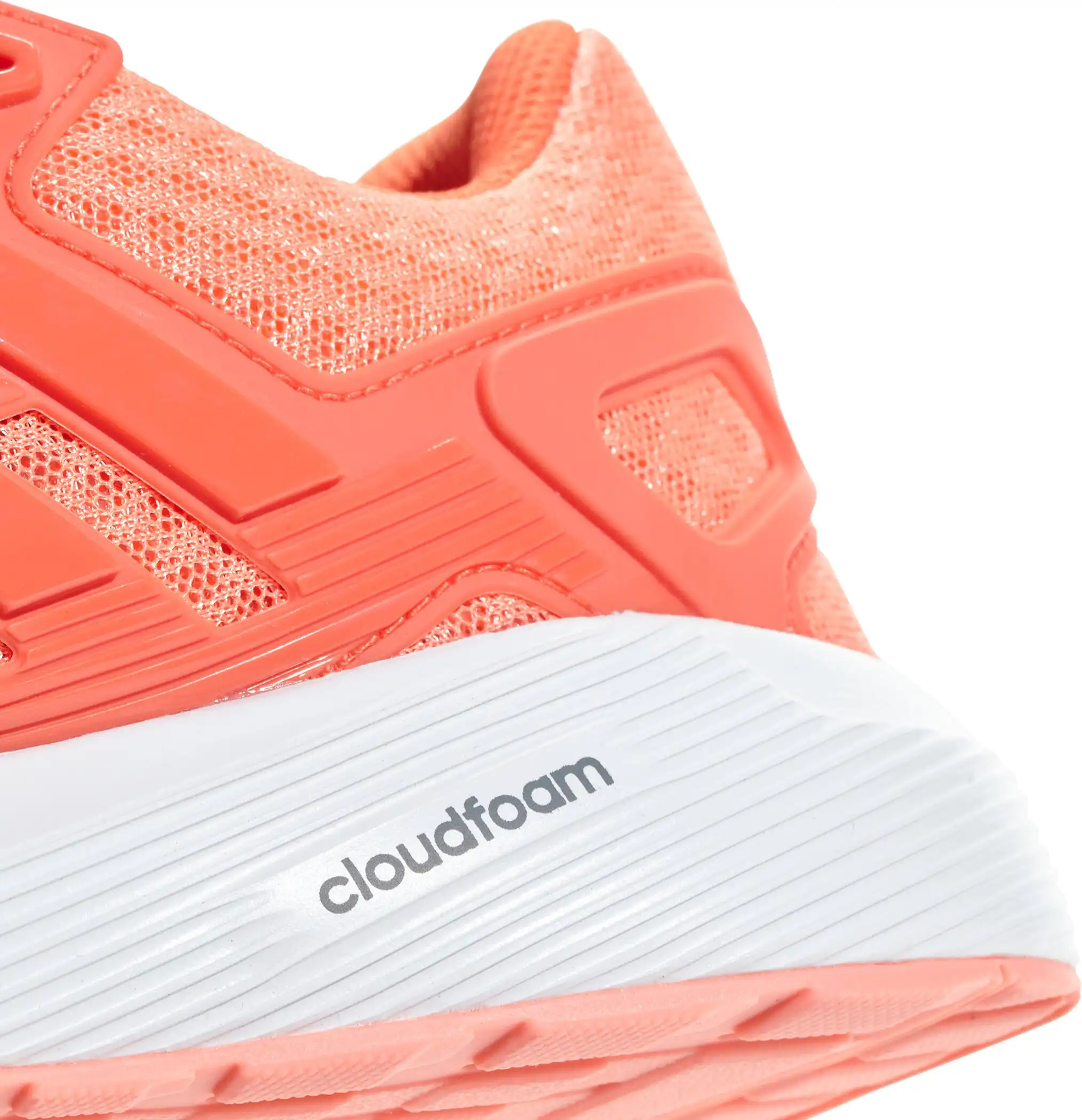 duramo 8 w CHACOR/TRAORA/TRAORA – Bild 4