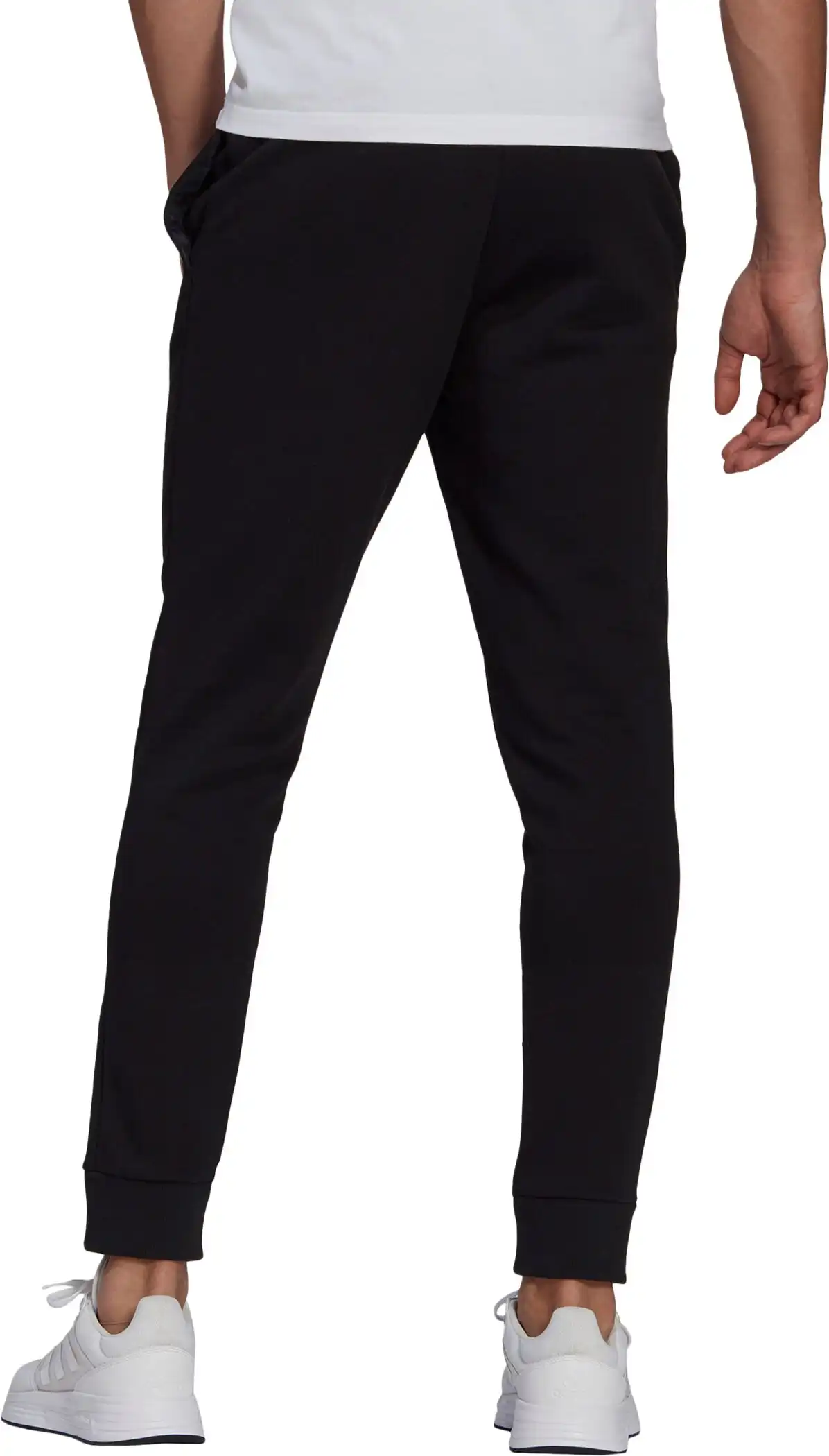 M SL FL TC PT – Bild 2