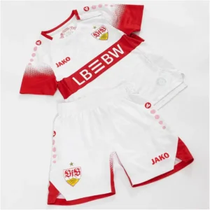 VFB Minikit Home