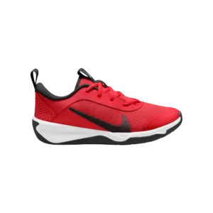 Nike Omni Multi-Court Big Kids