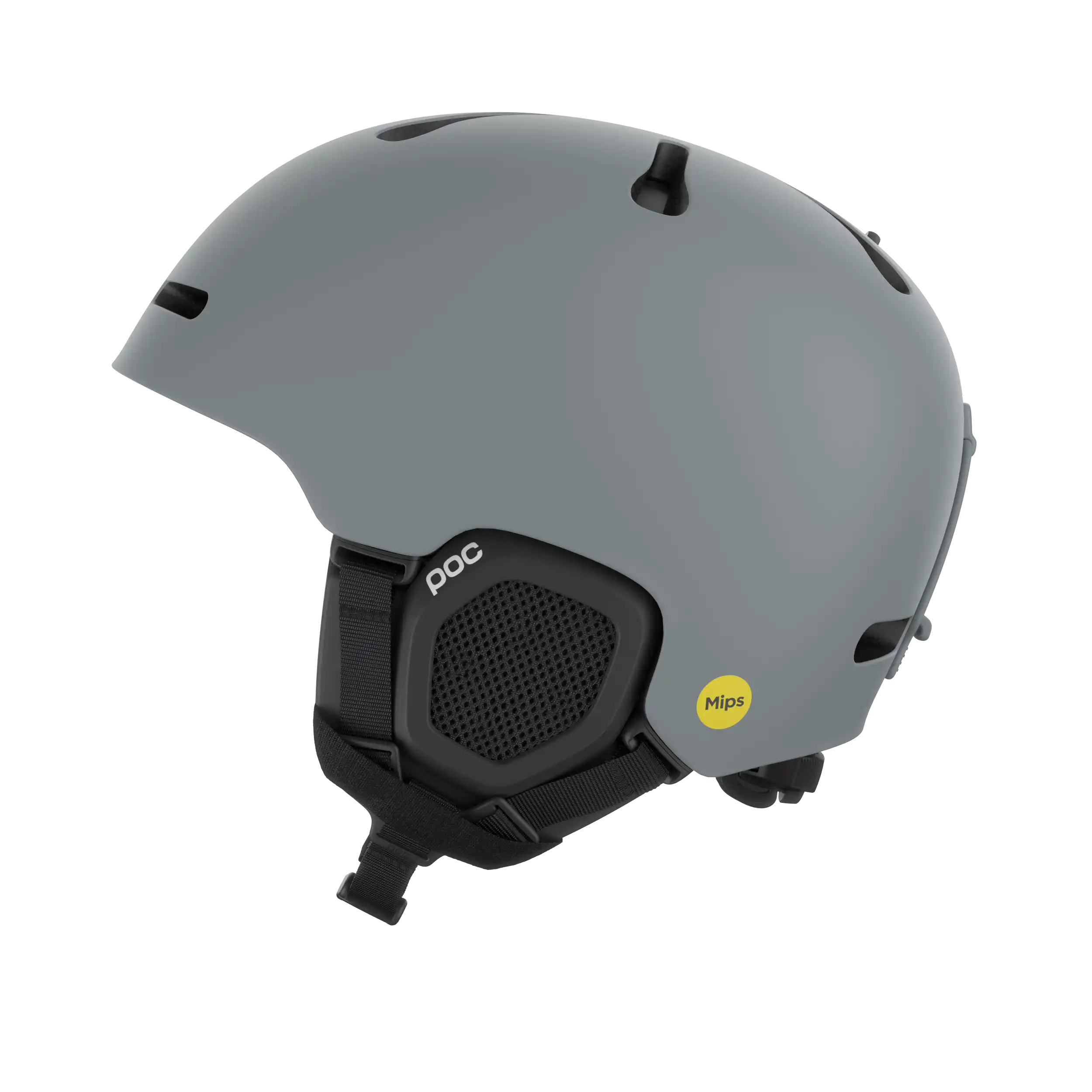 Fornix MIPS