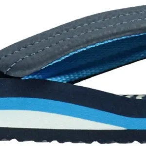 AHI Blue Horizon