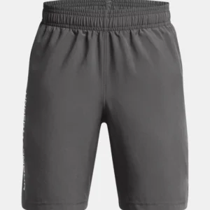 UA Woven Wdmk Shorts