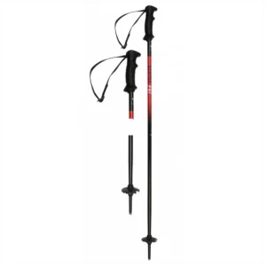ALPINE PRO, Ski Pole