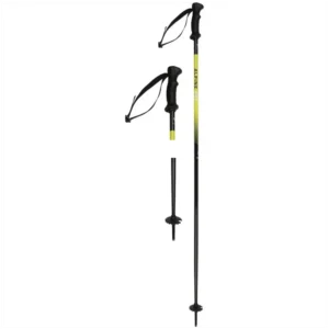ALPINE PRO, Ski Pole